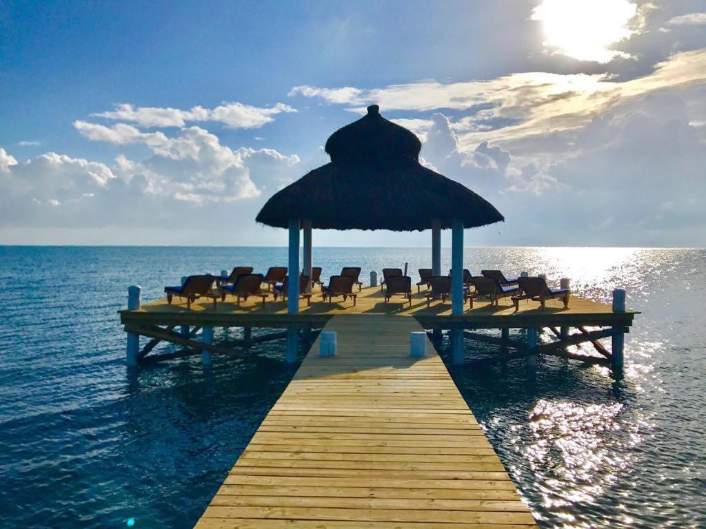 Velento Beach Level #9 Caye Caulker Exteriör bild