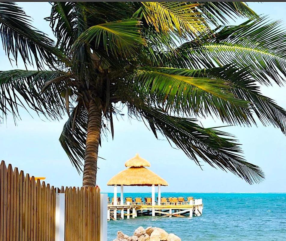Velento Beach Level #9 Caye Caulker Exteriör bild